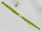 Docidium undulatum